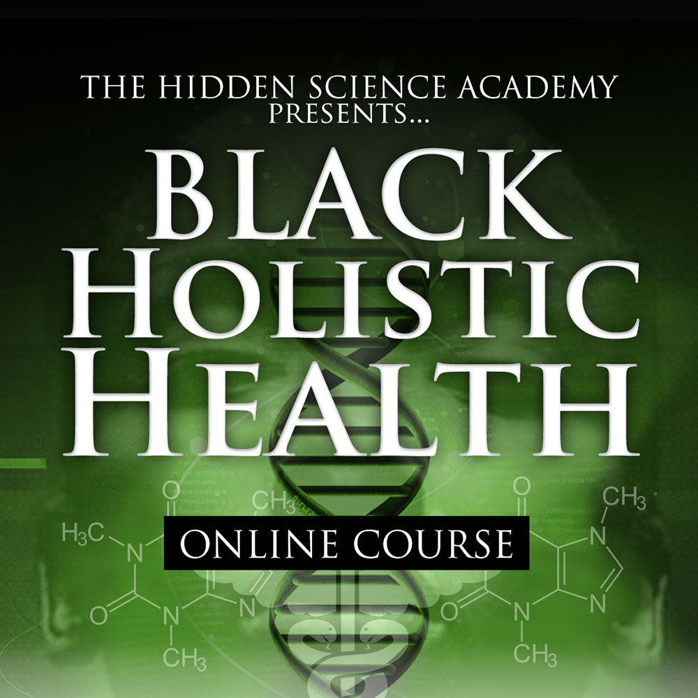 Read more about the article BLACK HOLISTIC HEALTH COURSE